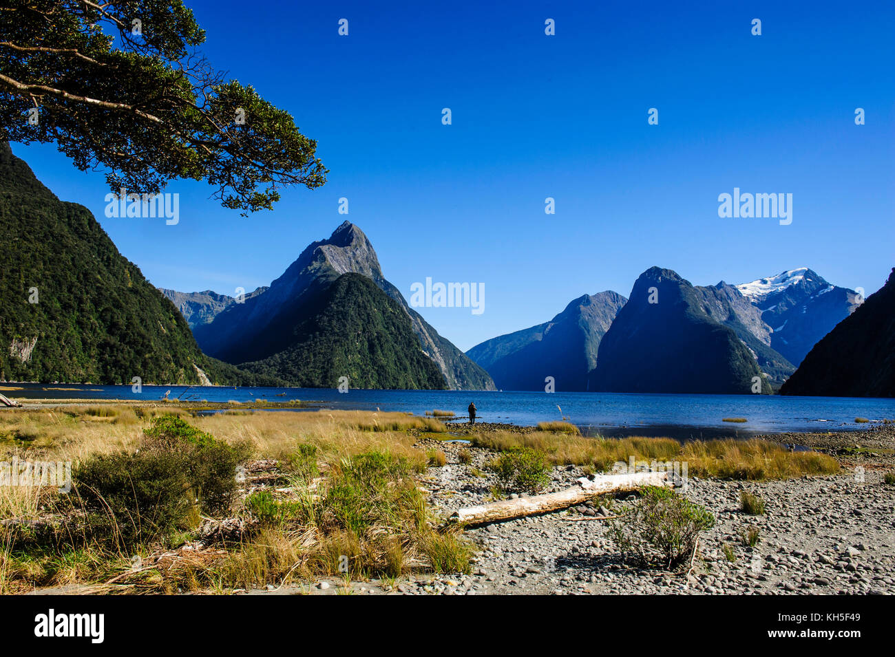 The steep cliffs of Milford Sound, South Island, New Zealand Stock ...