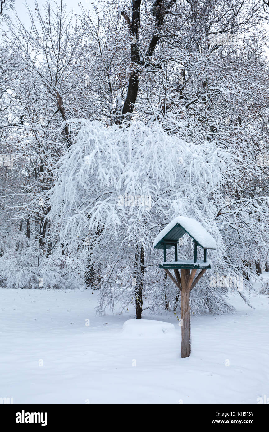 Beautiful winter snowy landscape in the park Stock Photo - Alamy