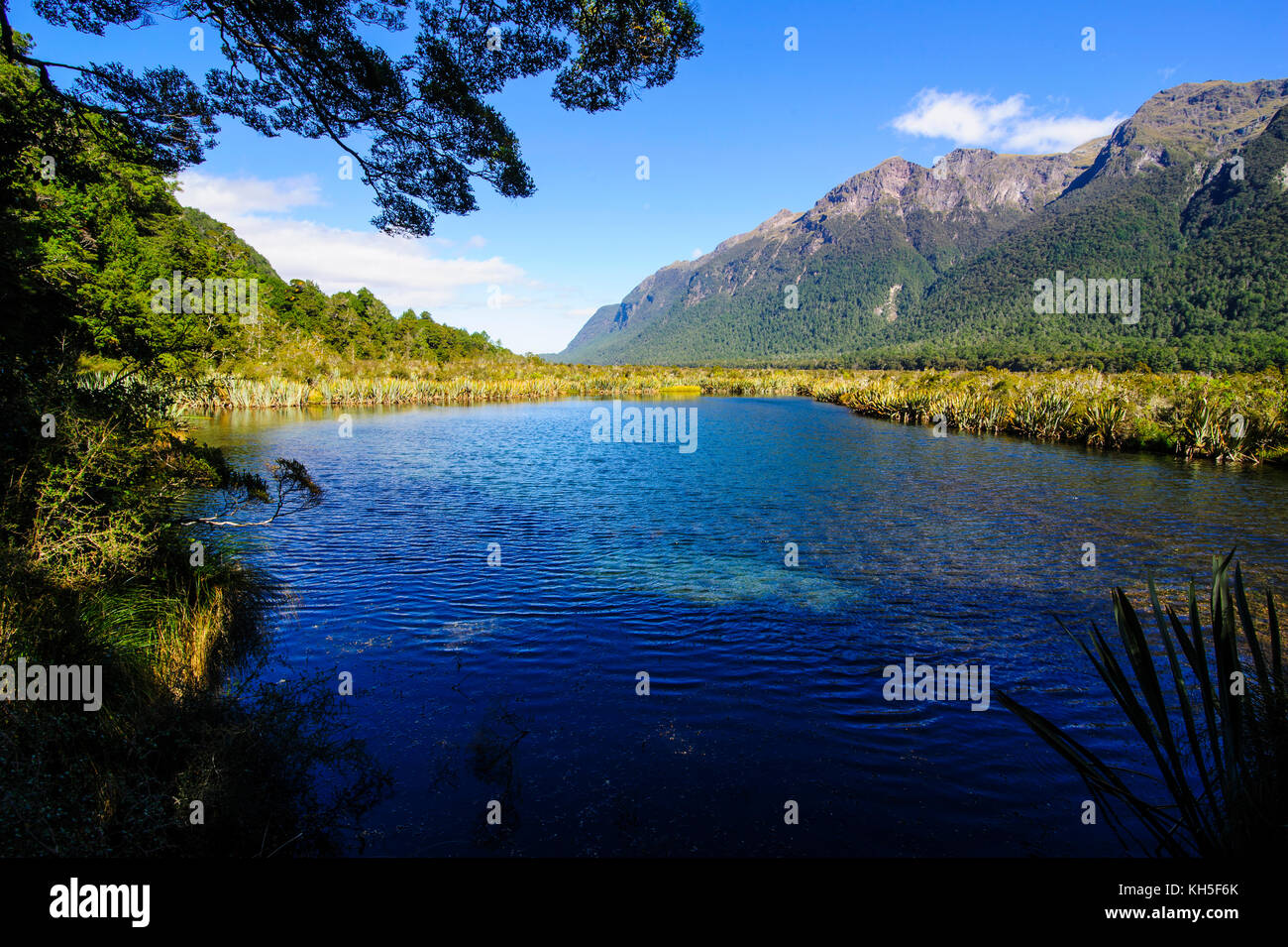 Mountains reflecting in the Mirror lakes, Eglington valley, South Island, New Zealand Stock Photo