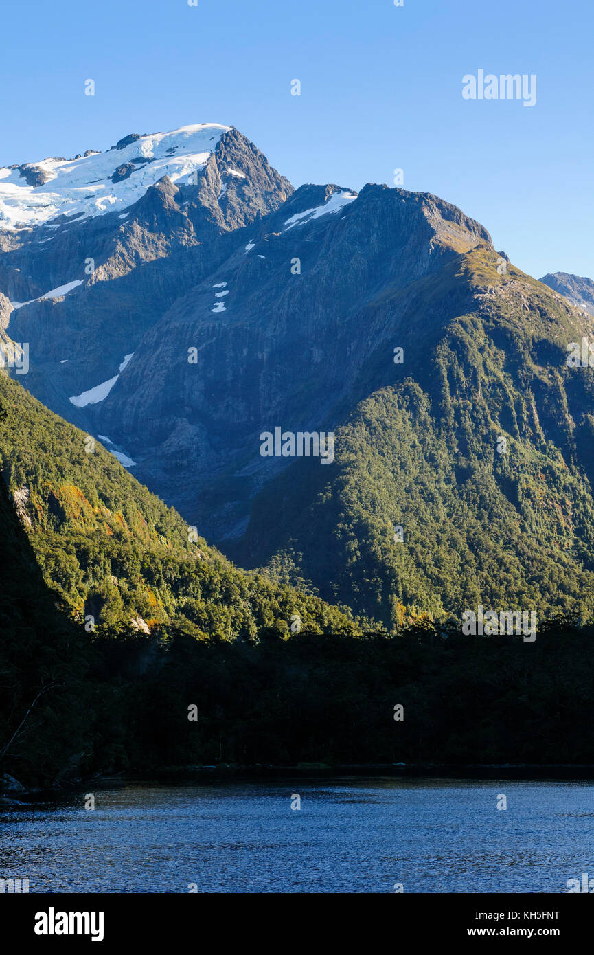 The steep cliffs of Milford Sound, South Island, New Zealand Stock ...