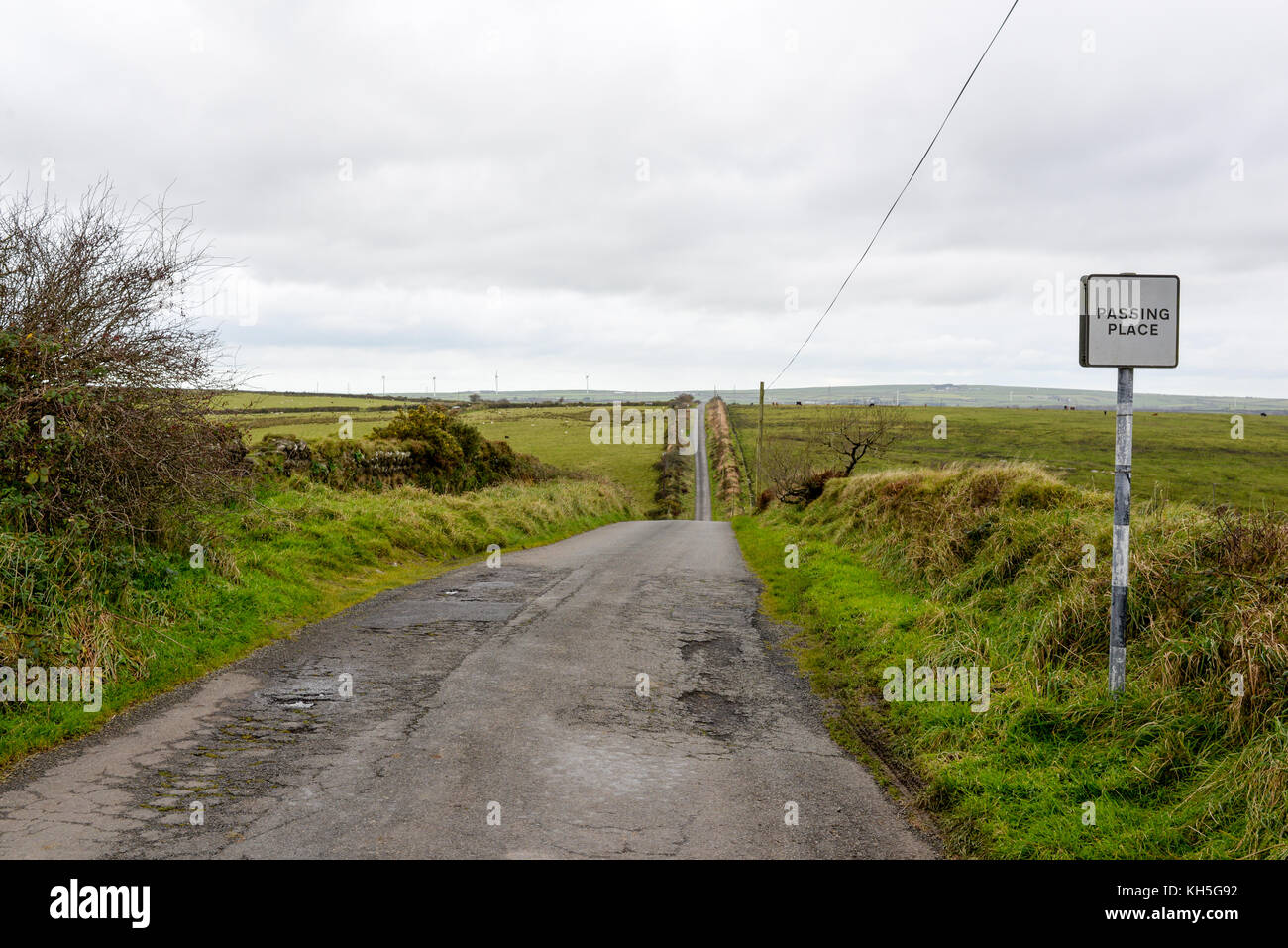 Narrow single track road with passing places on the way to Bodmin Moor,  northeast Cornwall, UK. Stock Photo
