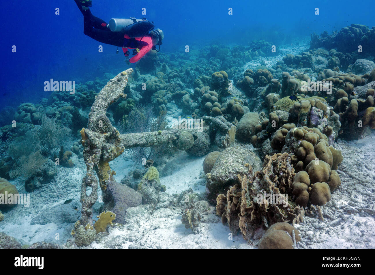 anchor reef scene bonaire Stock Photo