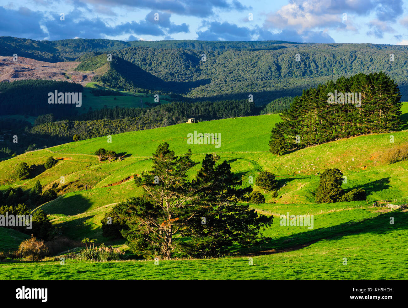 File:Northland hills.jpg - Wikimedia Commons