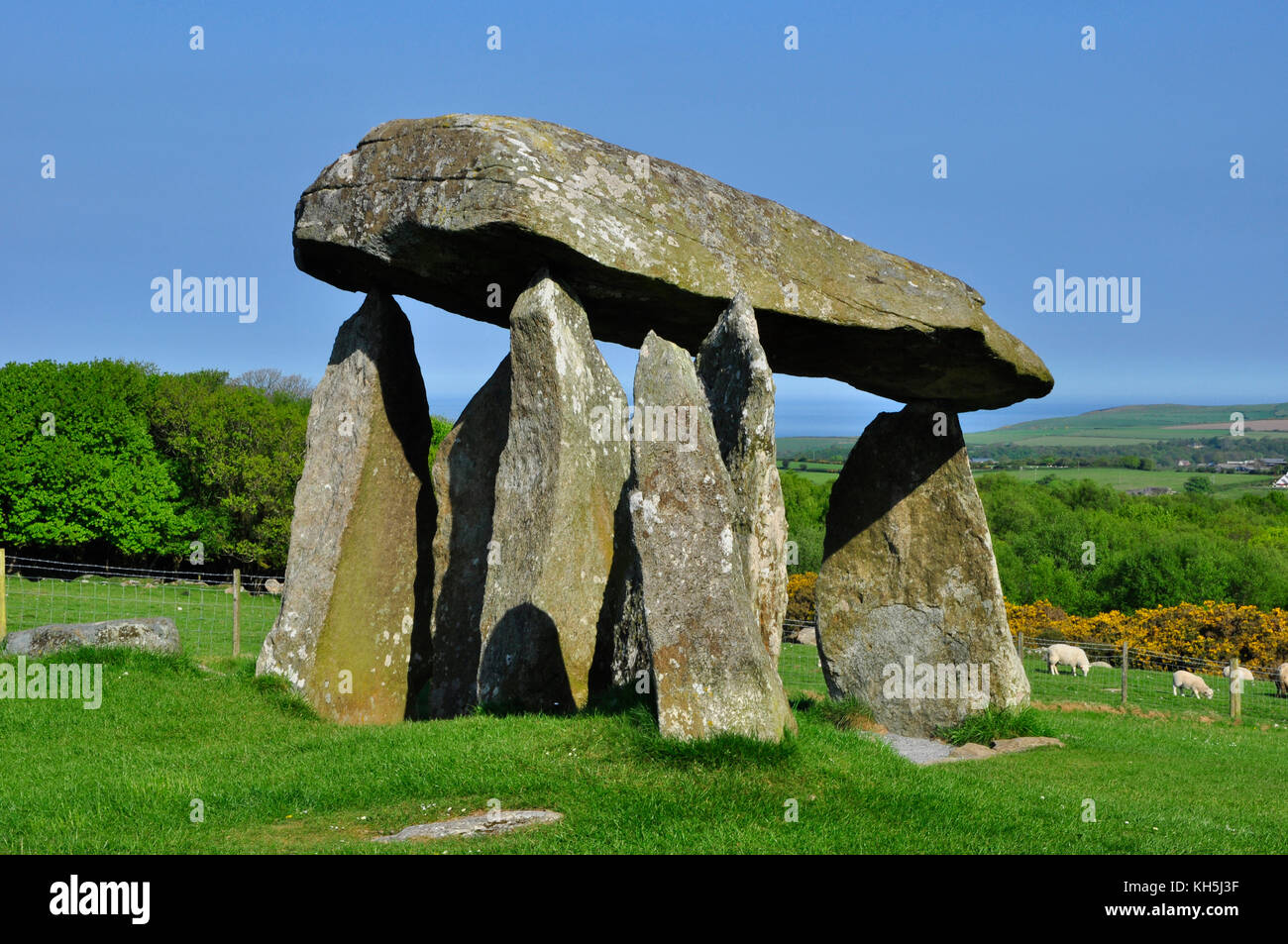 Pentre Ifan burial chamber,megalithic monument erected in Neolithic age.3,500BC. Portal Dolmen type Tomb.nr Newport,Pembrokeshire, Wales.UK Stock Photo