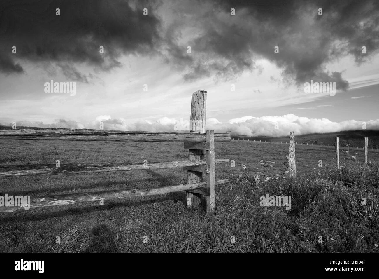 Rural farmland pasture landscape Black and White Stock Photos & Images ...