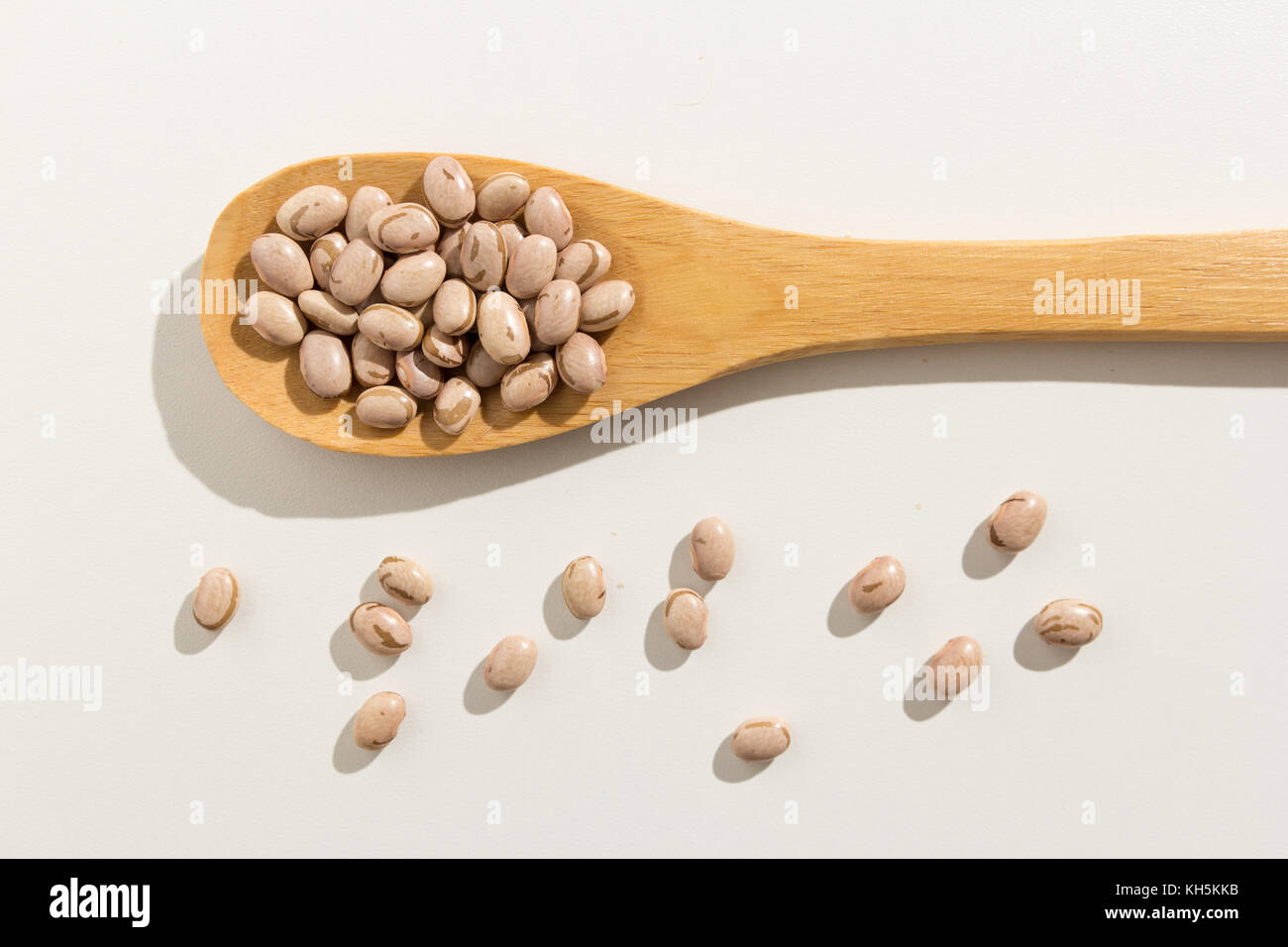 Phaseolus vulgaris is scientific name of Pinto Bean legume. Also known