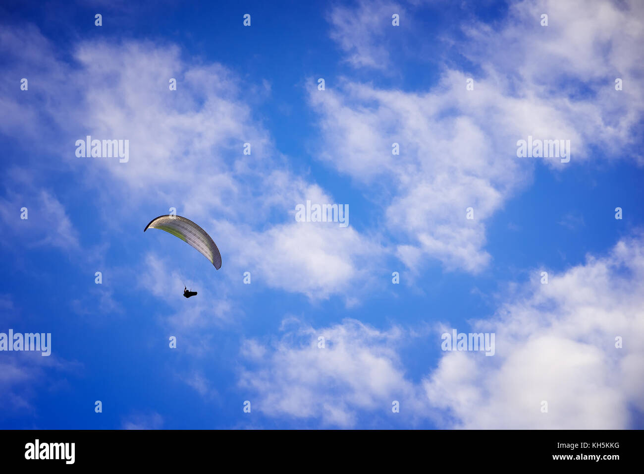 glider  Stock Photo