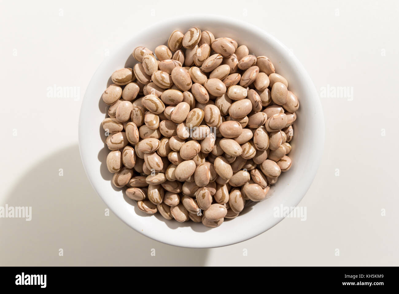 Phaseolus vulgaris is scientific name of Pinto Bean legume. Also known