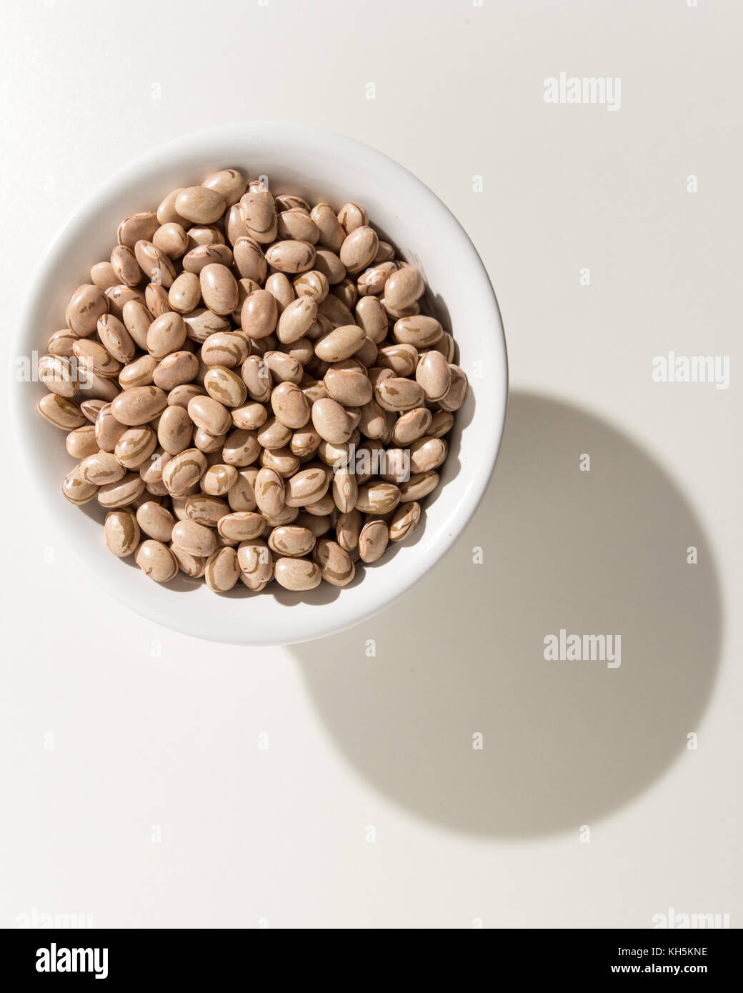 Phaseolus vulgaris is scientific name of Pinto Bean legume. Also known