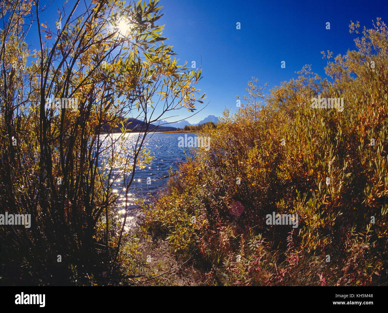 USA. Wyoming. Oxbow. Bend. Grand Teton National Park. Lake scene. Stock Photo