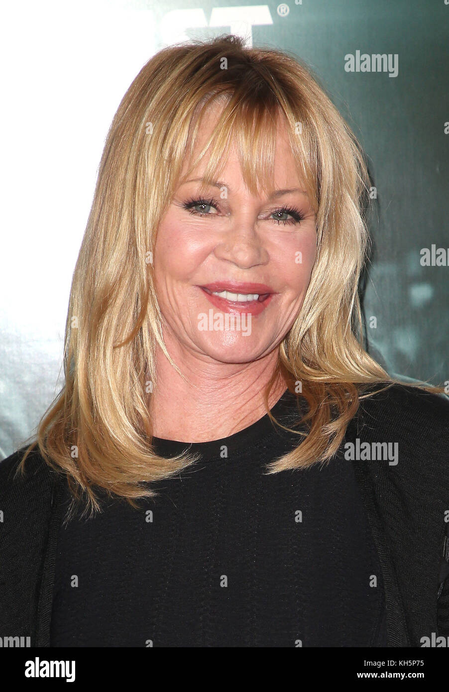 Hollywood, California, USA. 12th Nov, 2017. Melanie Griffith. ''The Disaster Artist'' AFI FEST 2017 Screening held at TCL Chinese Theatre. Photo Credit: F. Sadou/AdMedia Credit: F. Sadou/AdMedia/ZUMA Wire/Alamy Live News Stock Photo