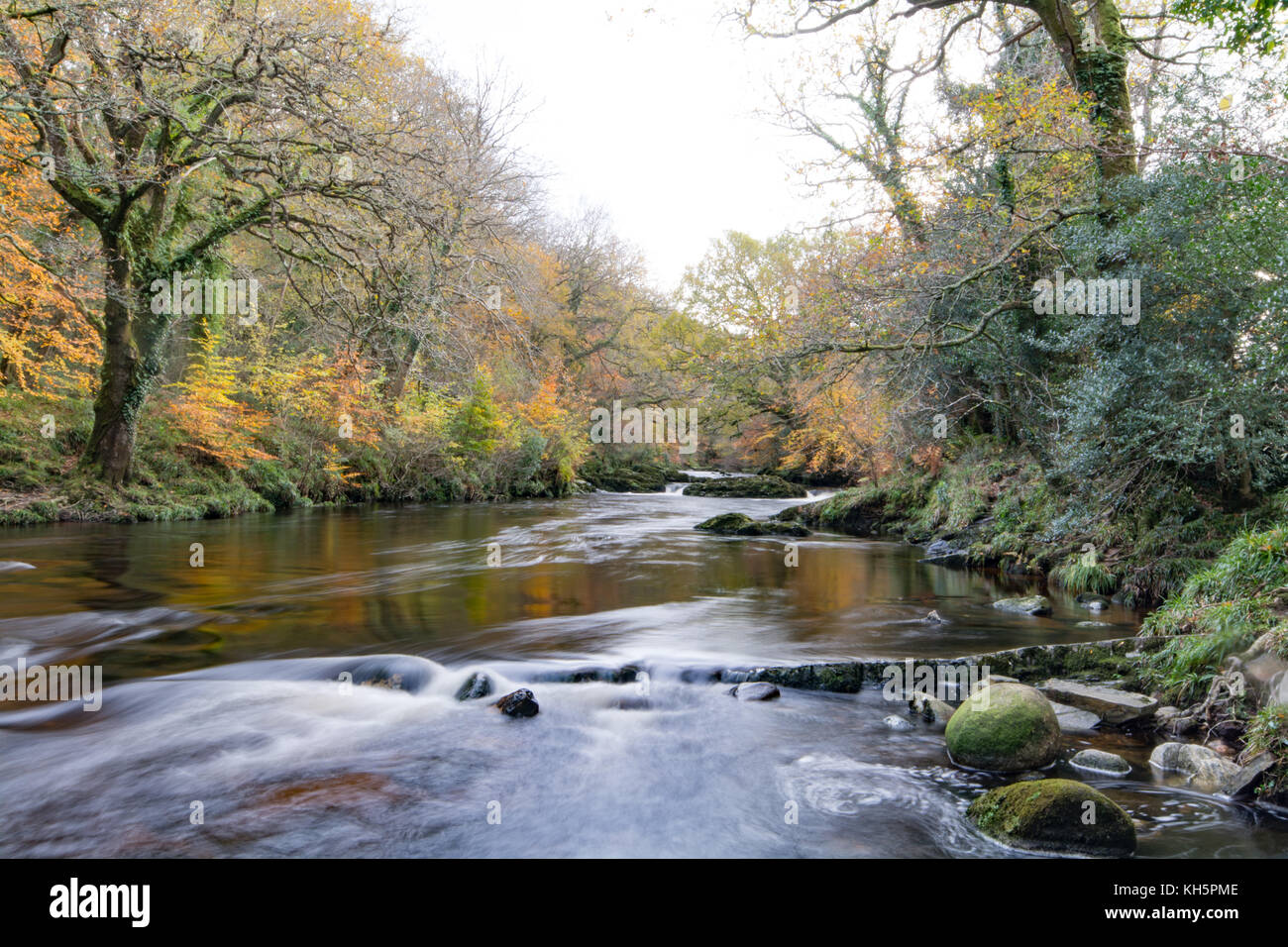 The river Dart at Newbridge flowing through a wooded valley in autumn