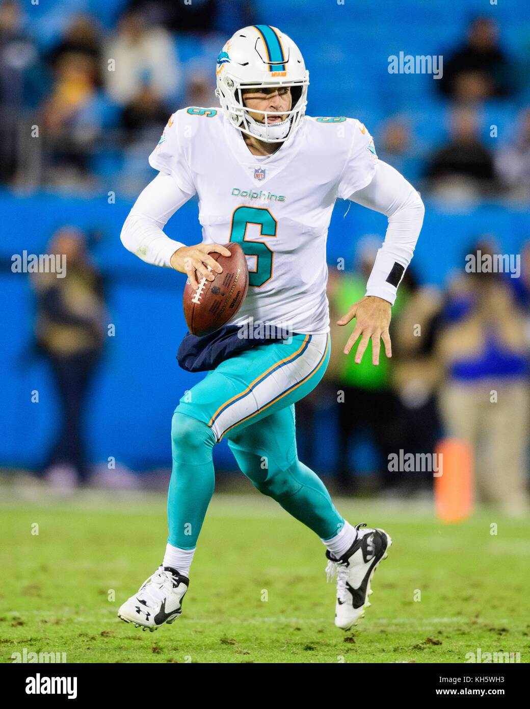 Miami Dolphins quarterback Jay Cutler (6) during the NFL football game  between the Miami Dolphins and the Carolina Panthers on Monday November 13,  2017 in Charlotte, NC. Jacob Kupferman/CSM13th November, 2017 Stock Photo -  Alamy