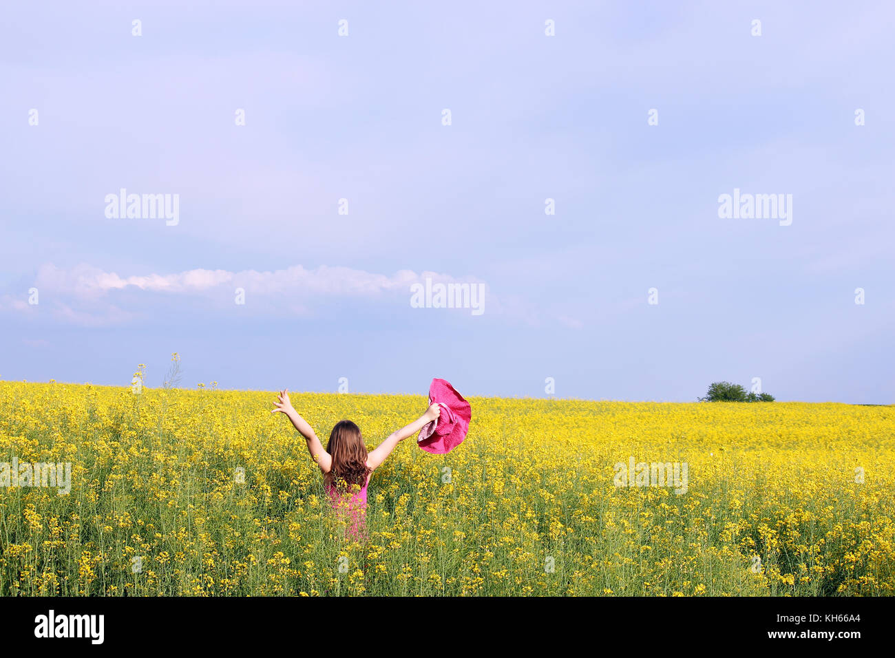little girl with hands up in yellow field summer season Stock Photo - Alamy
