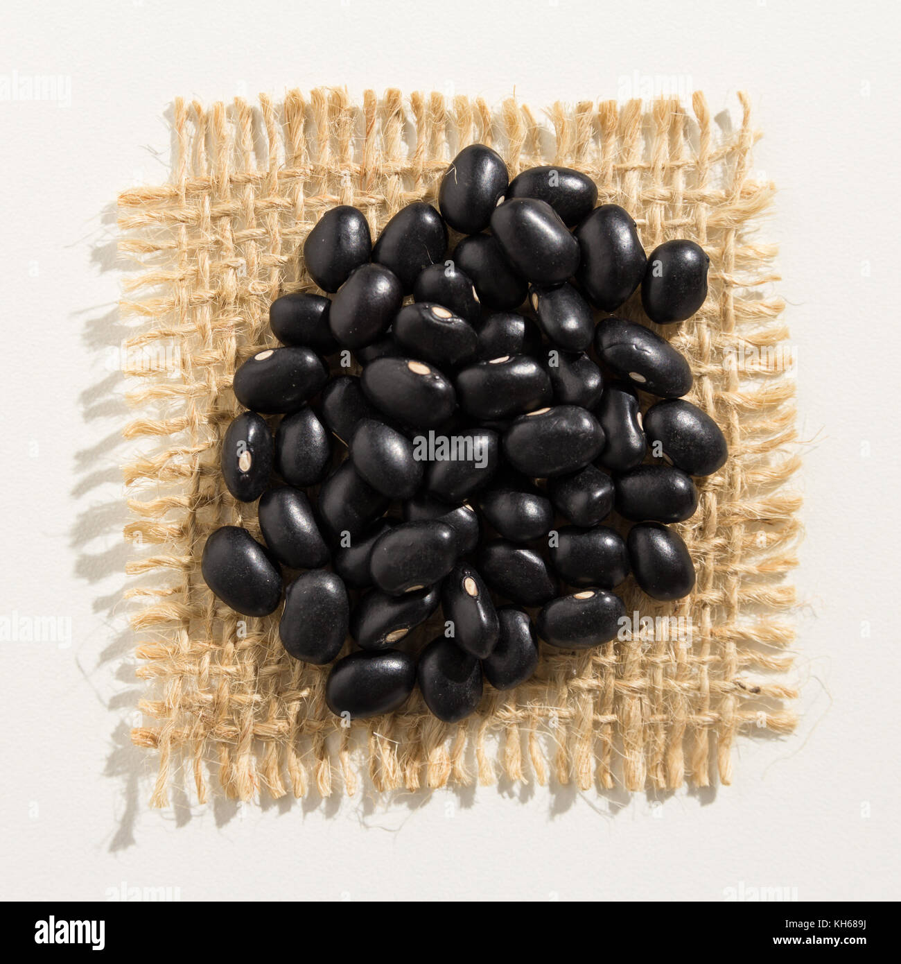 Phaseolus vulgaris is scientific name of Black Turtle Bean legume. Also