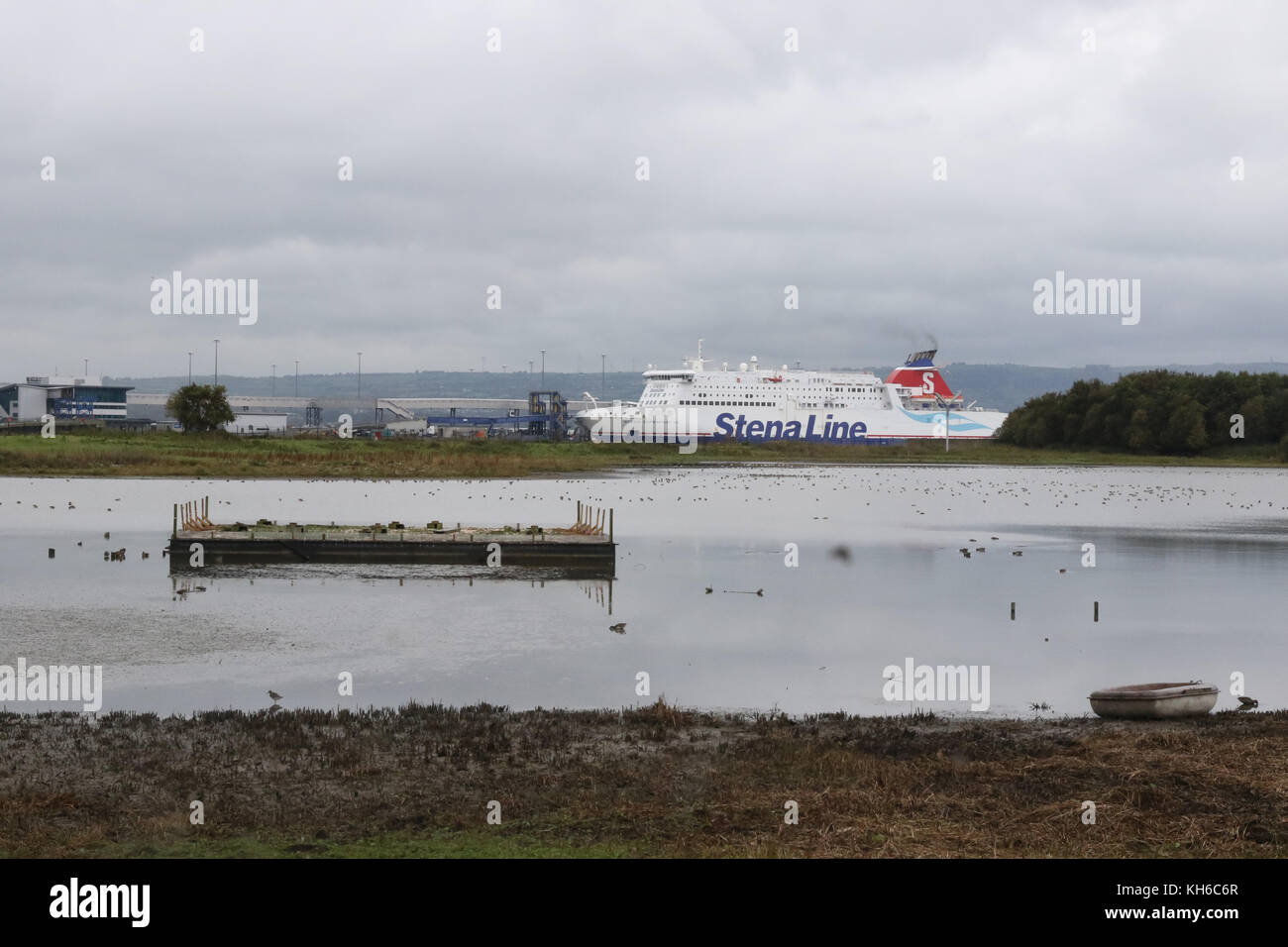 The RSPB reserve ar Belfast Harbour Estate Stock Photo Alamy