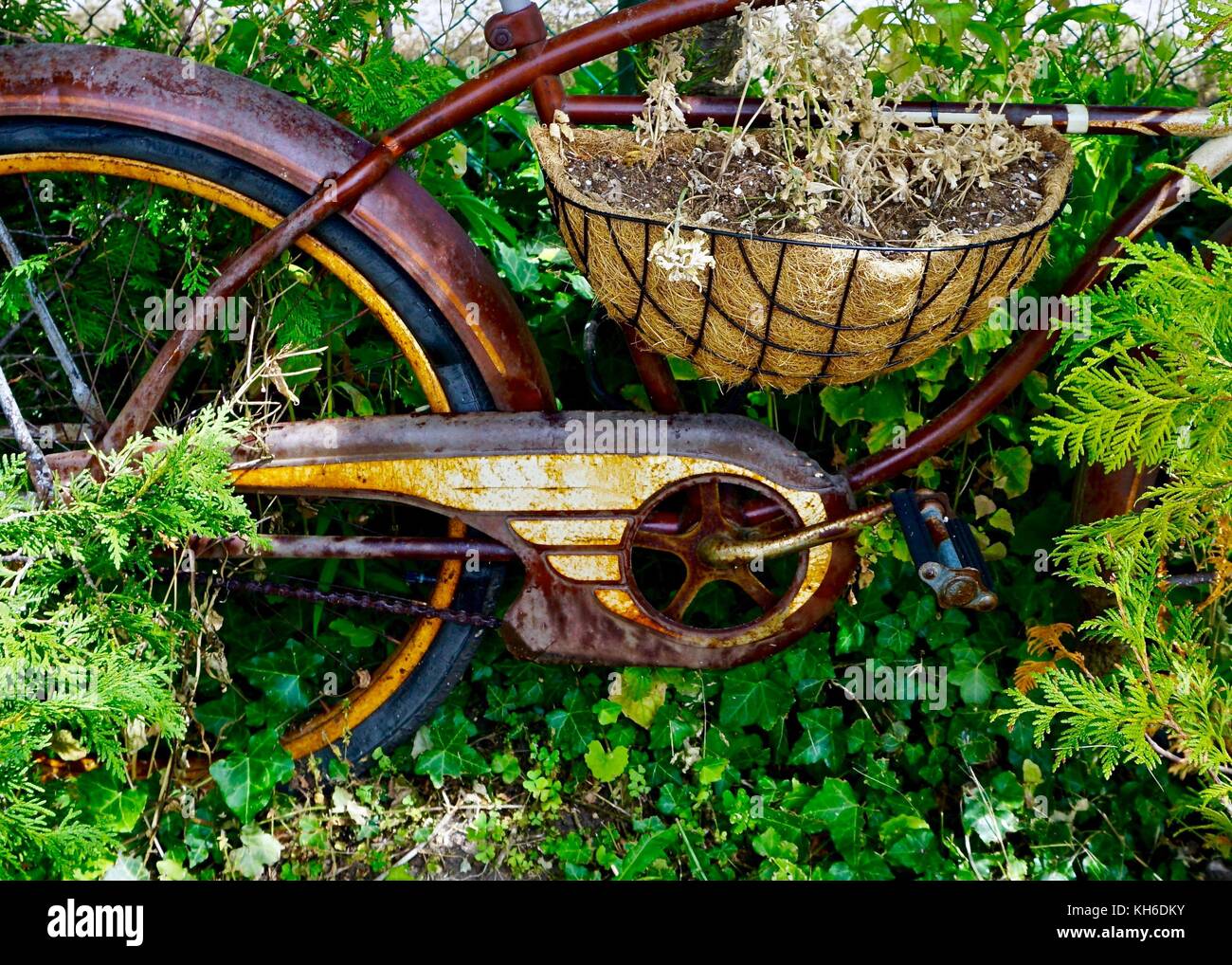 Old rusted bicycle for sale best sale