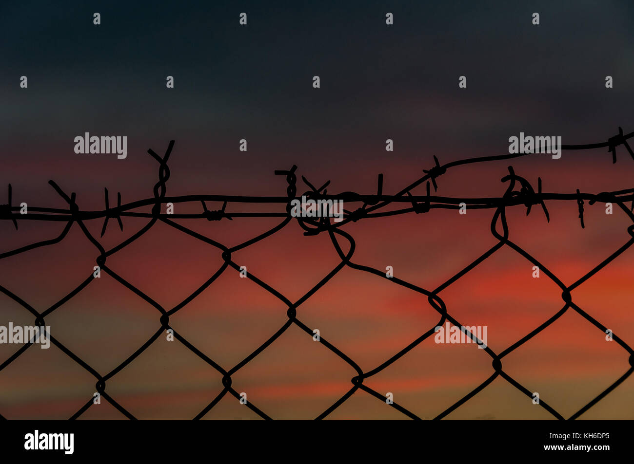 Steel mesh fence with barbed wire on top at sunset Stock Photo - Alamy