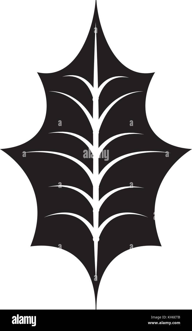 christmas decoration leaf holly natural Stock Vector Image & Art - Alamy