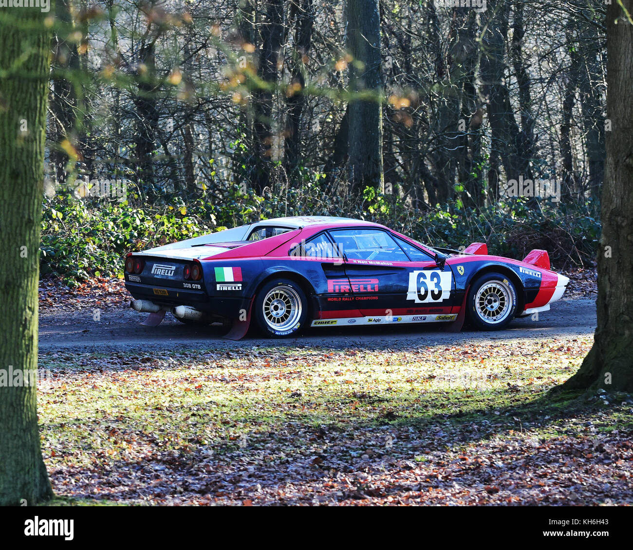 Neil McMahon, Dave Mellet, Ferrari 308 Michelotto Gr 4, MGJ Rally Stages, Chelmsford Motor Club, Brands Hatch,  Saturday, 21st January 2017, MSV, Rall Stock Photo