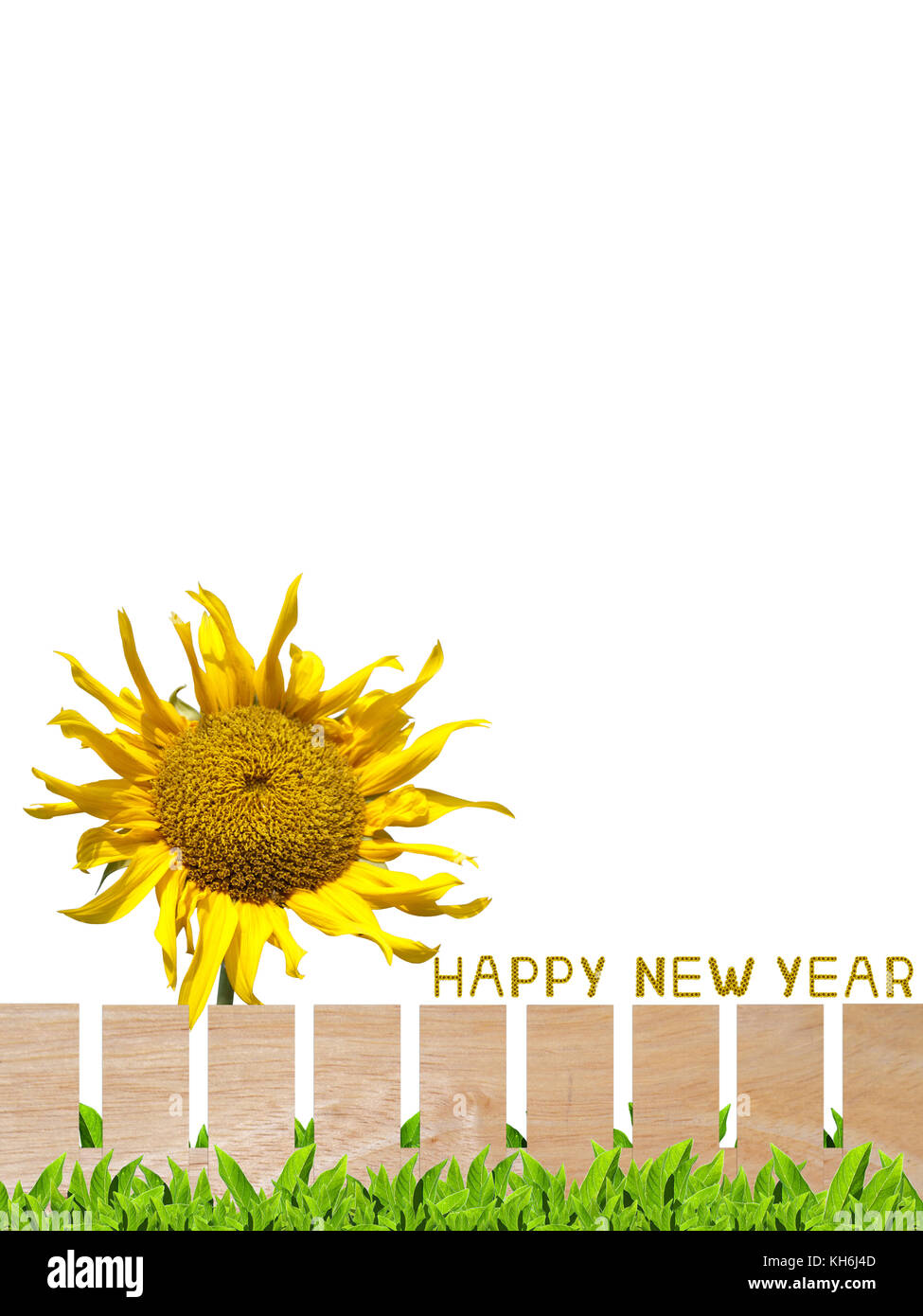 Beautiful garden fence with sunflower letter arrange in the words Happy New Year, clipping path included. Stock Photo