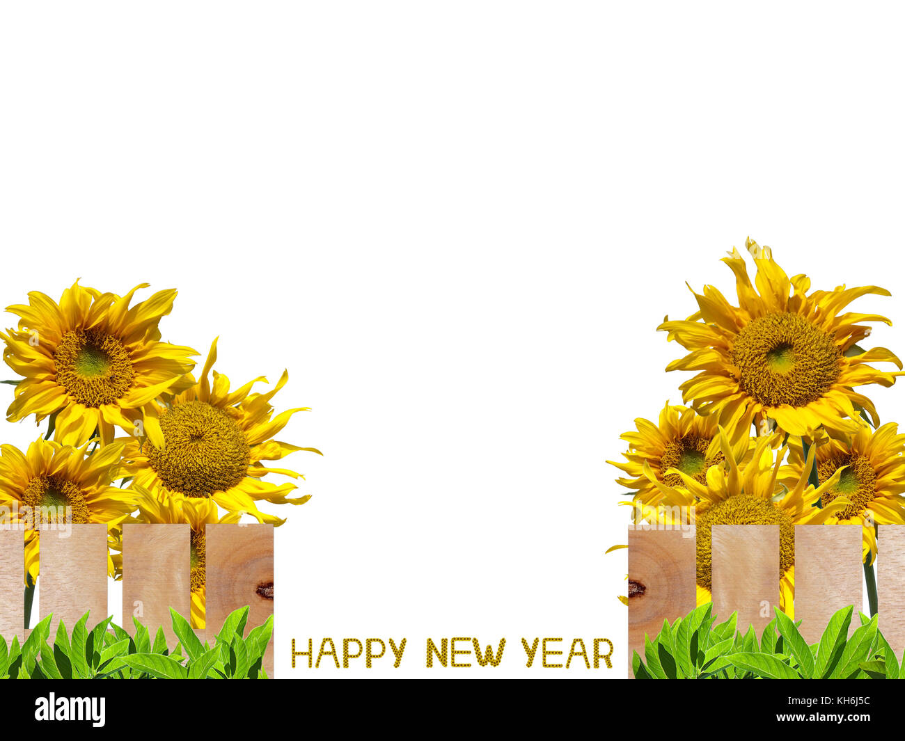 Beautiful garden fence with sunflower letter arrange in the words Happy New Year, clipping path included. Stock Photo