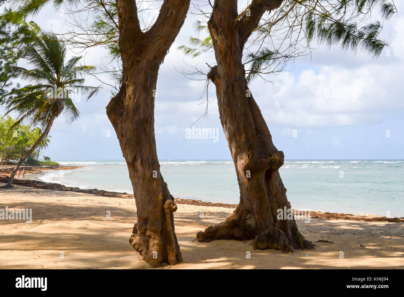 Bath Beach; Bath; St. John; Barbados Stock Photo - Alamy