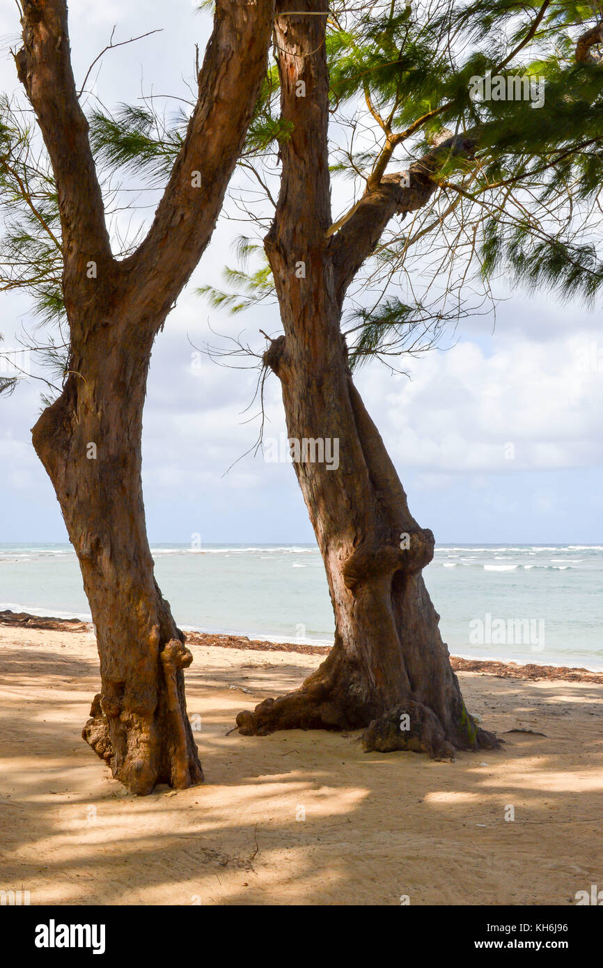 Bath Beach; Bath; St. John; Barbados Stock Photo Alamy