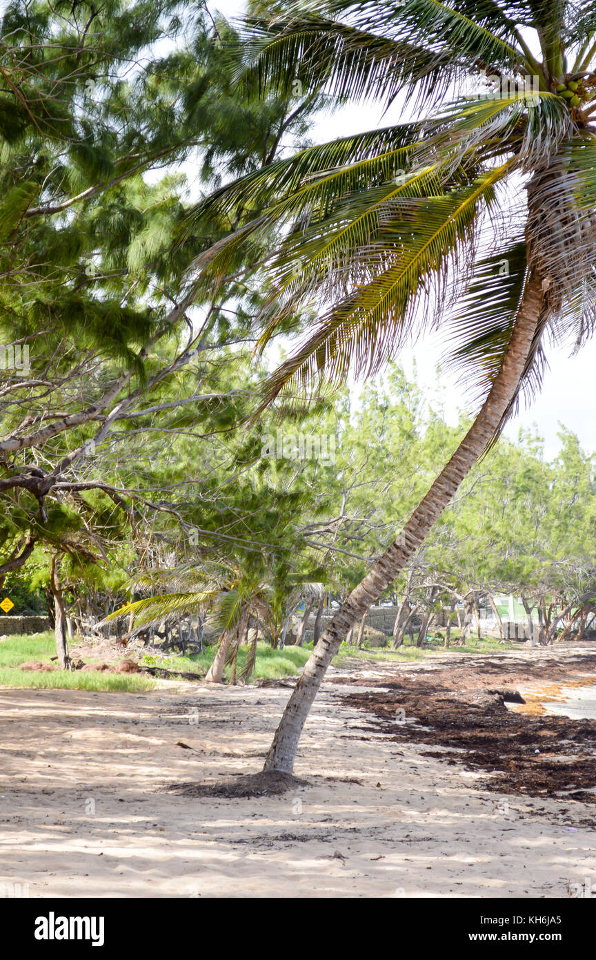 Bath Beach; Bath; St. John; Barbados Stock Photo Alamy