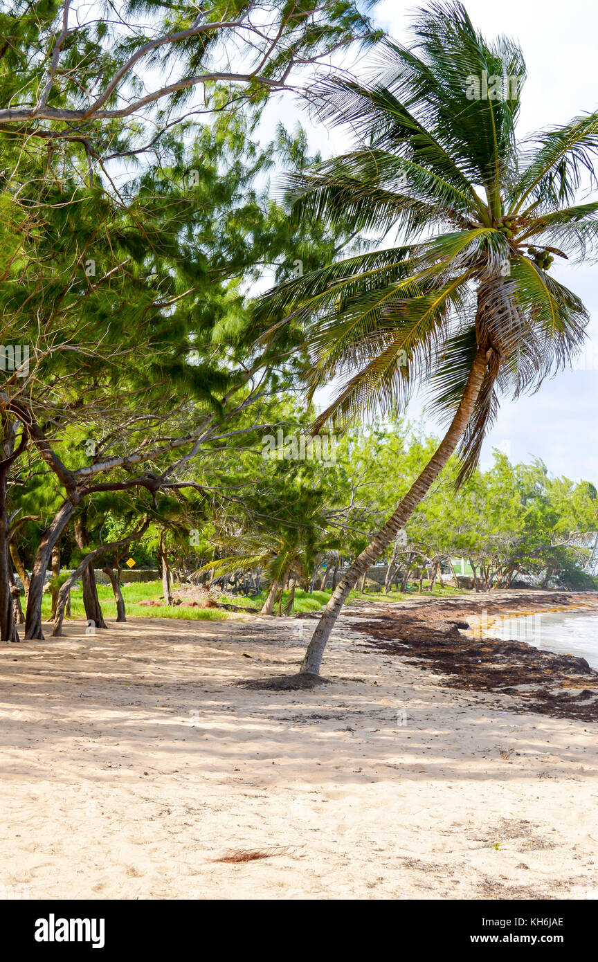 Bath Beach; Bath; St. John; Barbados Stock Photo - Alamy