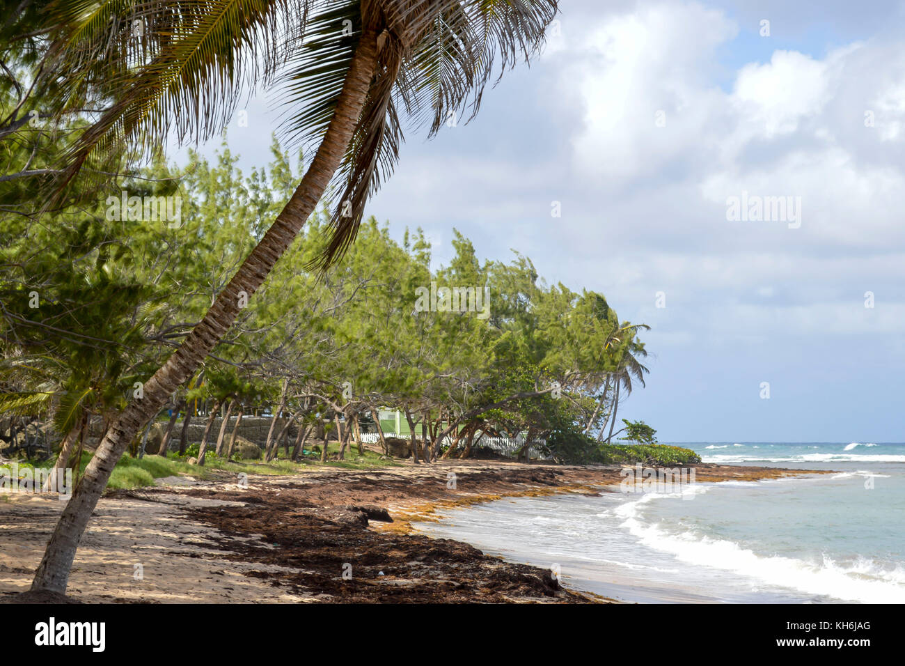 Bath Beach; Bath; St. John; Barbados Stock Photo - Alamy