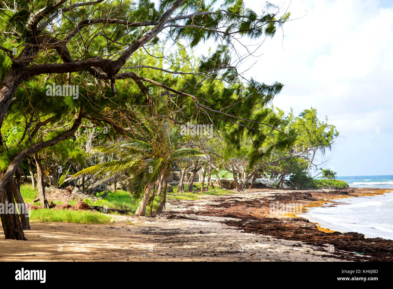 Bath Beach; Bath; St. John; Barbados Stock Photo - Alamy