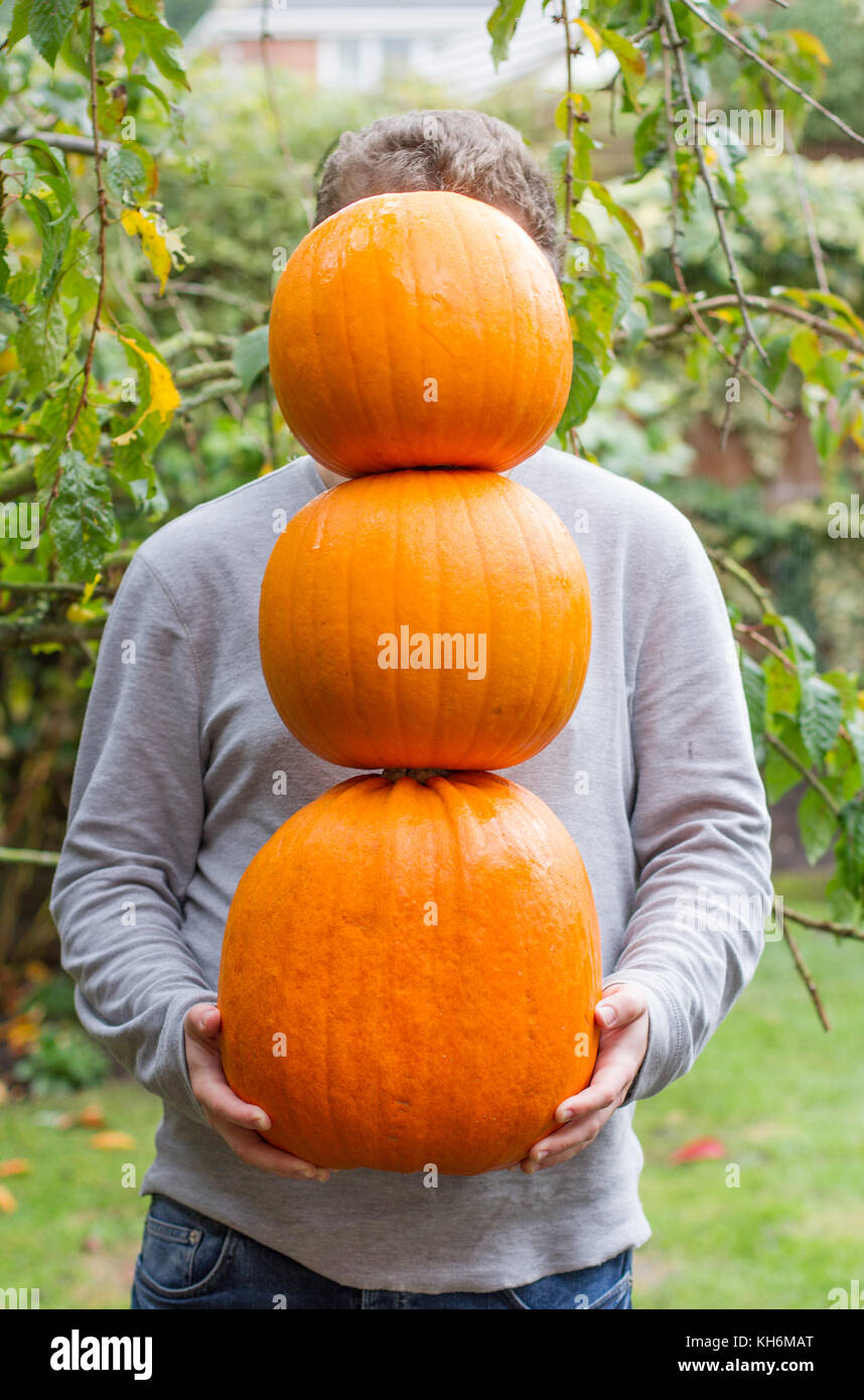 An anonymous young man holding and balancing three pumpkins in his hands that are covering his face in an outdoors garden. Stock Photo