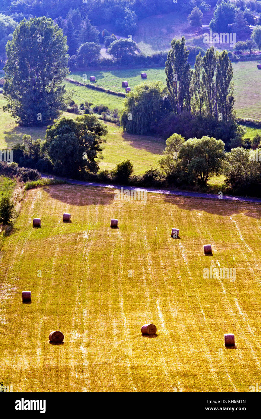Europe, France, Alpes-de-Hautes-Provence, 04, Pays de Sault. Wheat field, straw bale. Stock Photo