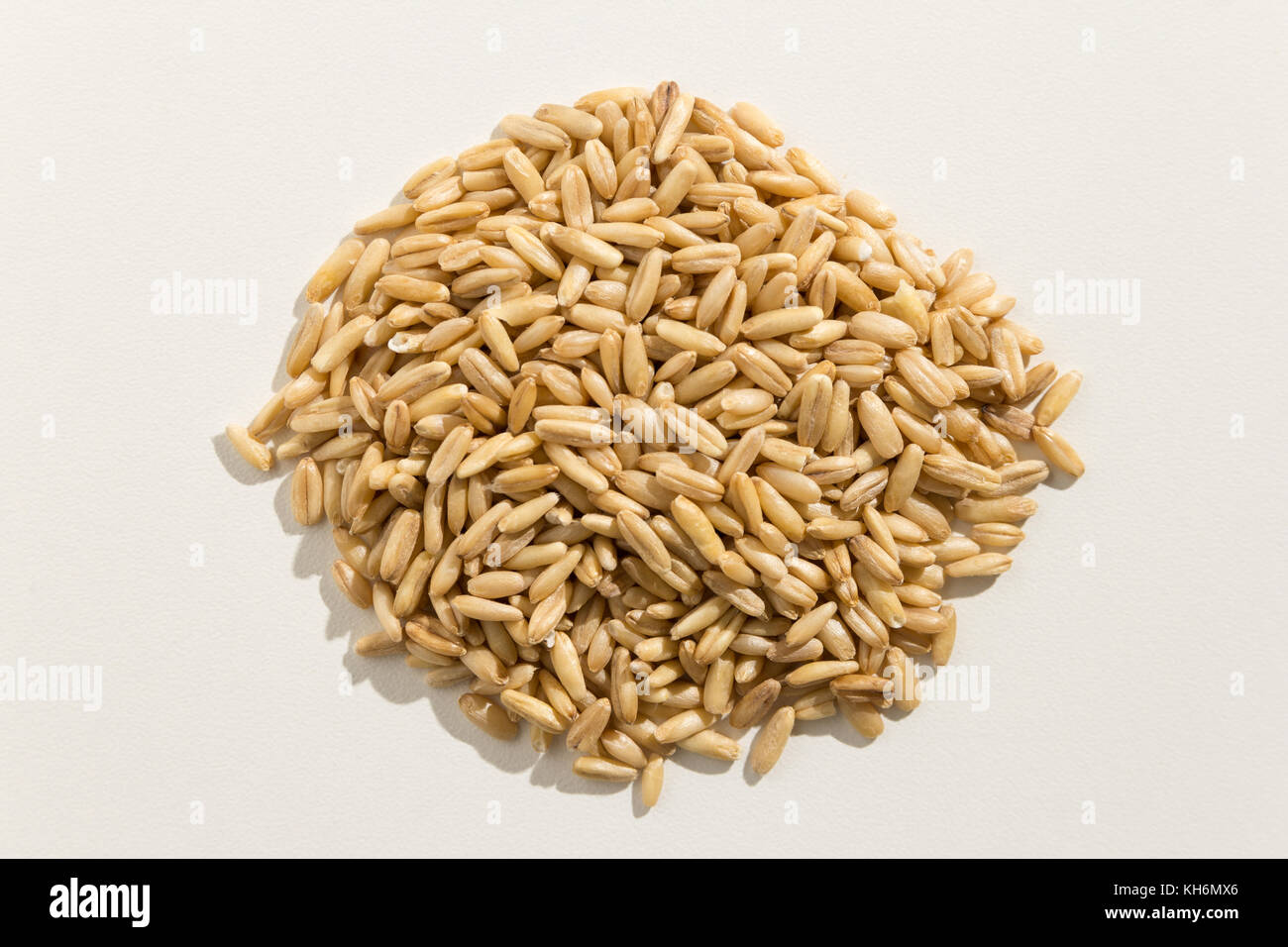 Avena Sativa is scientific name of Oat cereal grain. Also known as Aveia or Avena. Pile of grains. Top view. Stock Photo