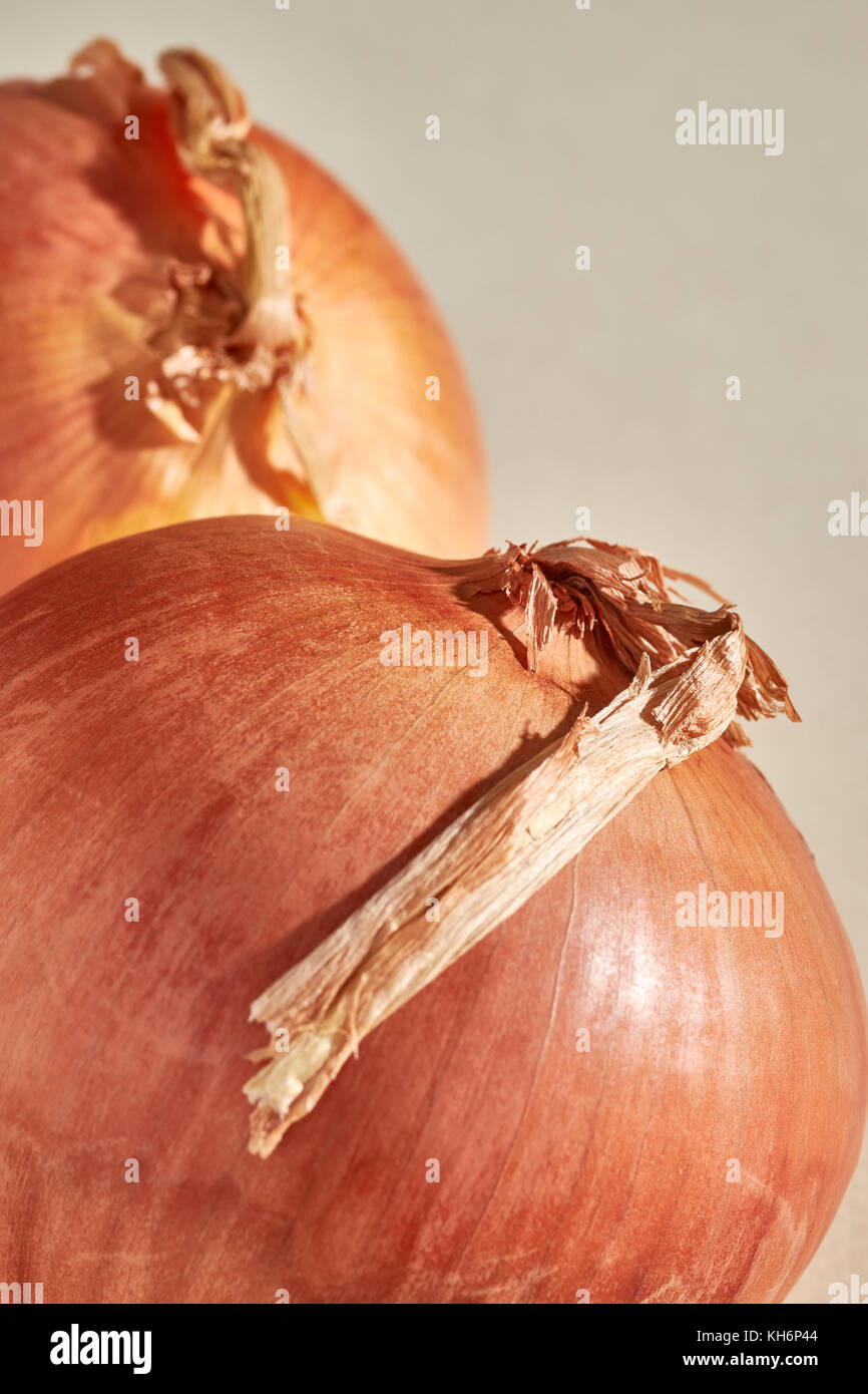 two whole yellow onions Stock Photo Alamy