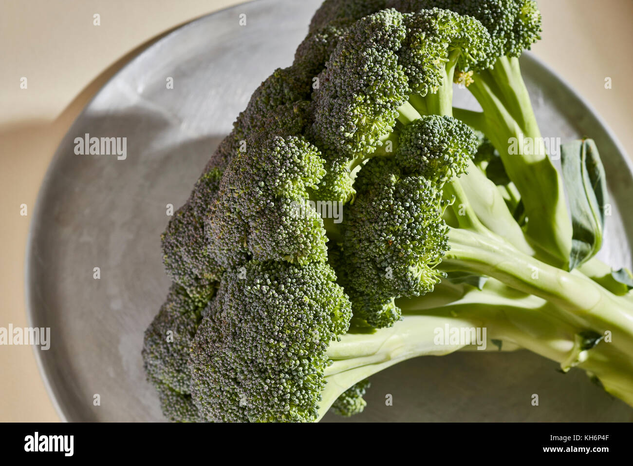 a head of fresh, raw broccoli Stock Photo