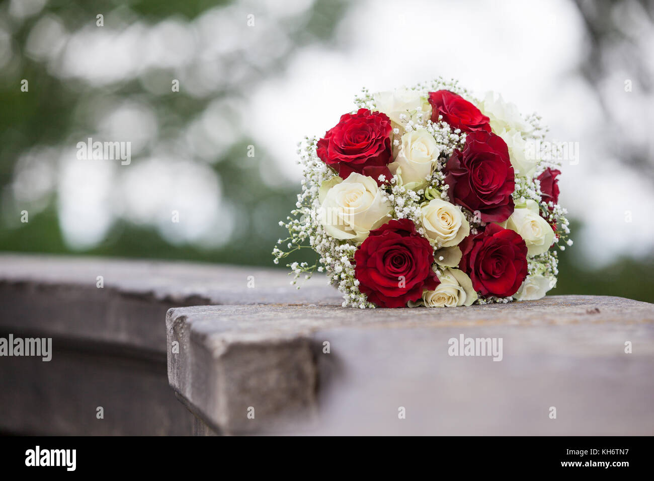 Rote Rosen High Resolution Stock Photography and Images - Alamy