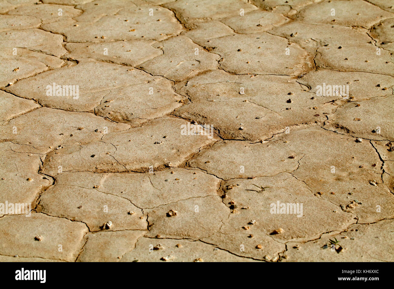 Cracked earth close-up Stock Photo