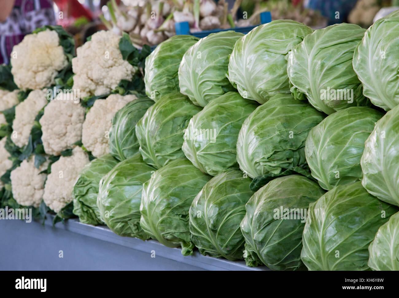 Fresh cabbages and cauliflower at a market Stock Photo