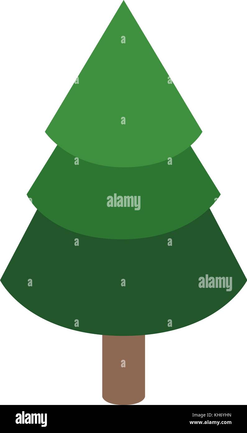 Isolated pine tree design Stock Vector Image & Art - Alamy