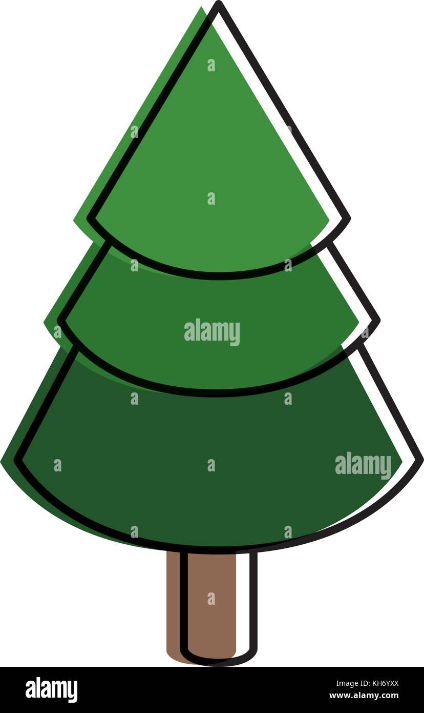 Isolated pine tree design Stock Vector Image & Art - Alamy