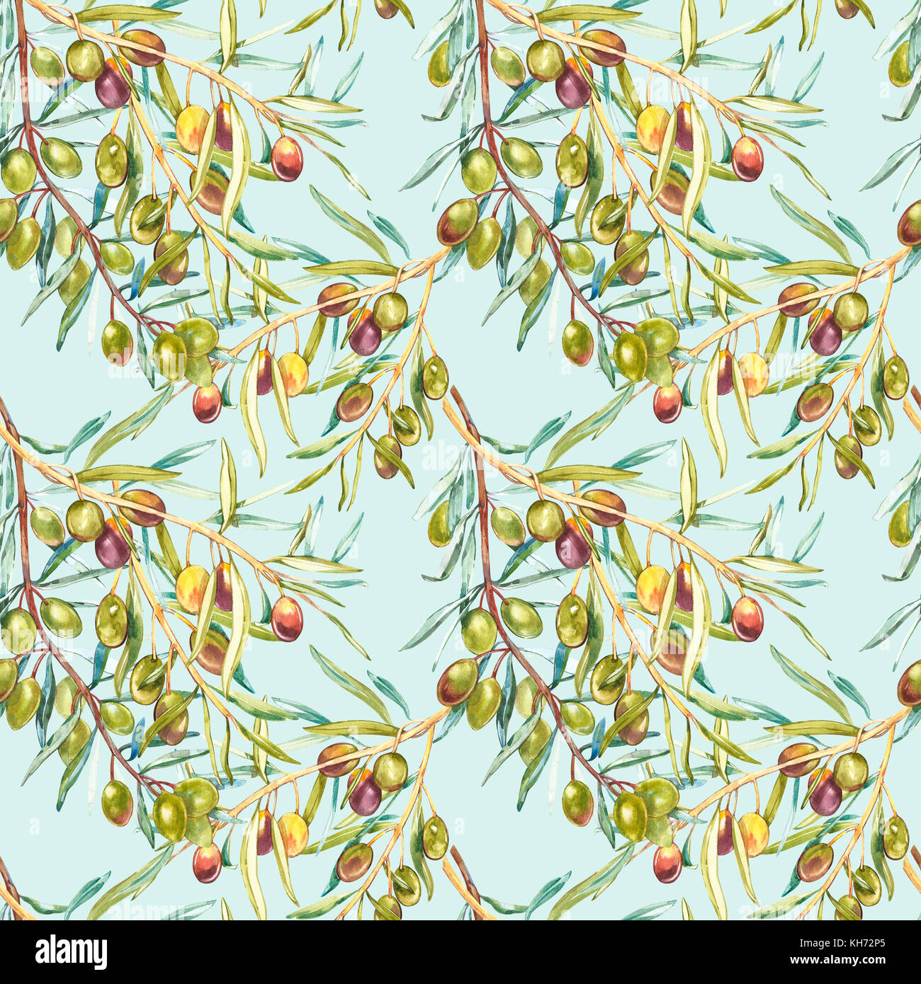 Watercolor seamless pattern with ripe black and green olives on white ...