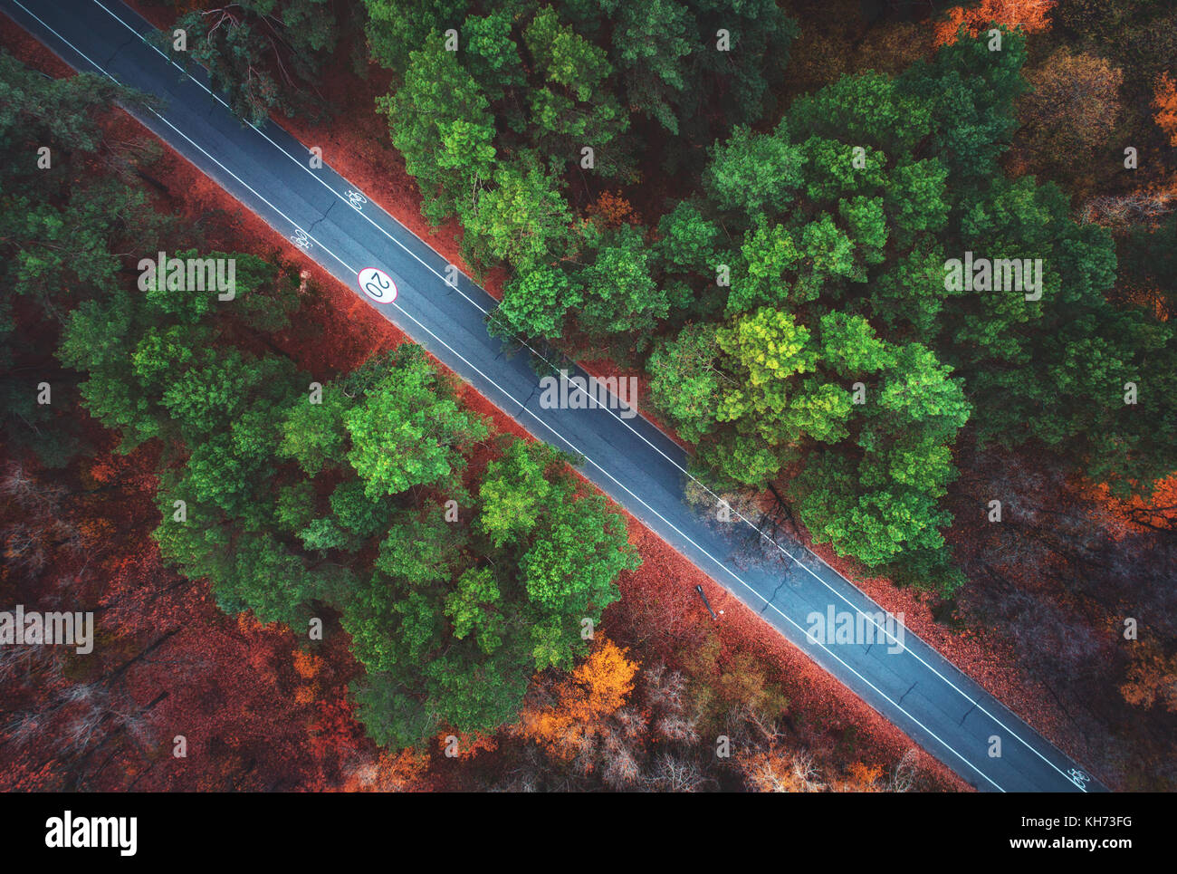 Aerial view of road in beautiful autumn forest. Amazing landscape with empty rural road, trees with green, red and orange leaves in day. Highway throu Stock Photo