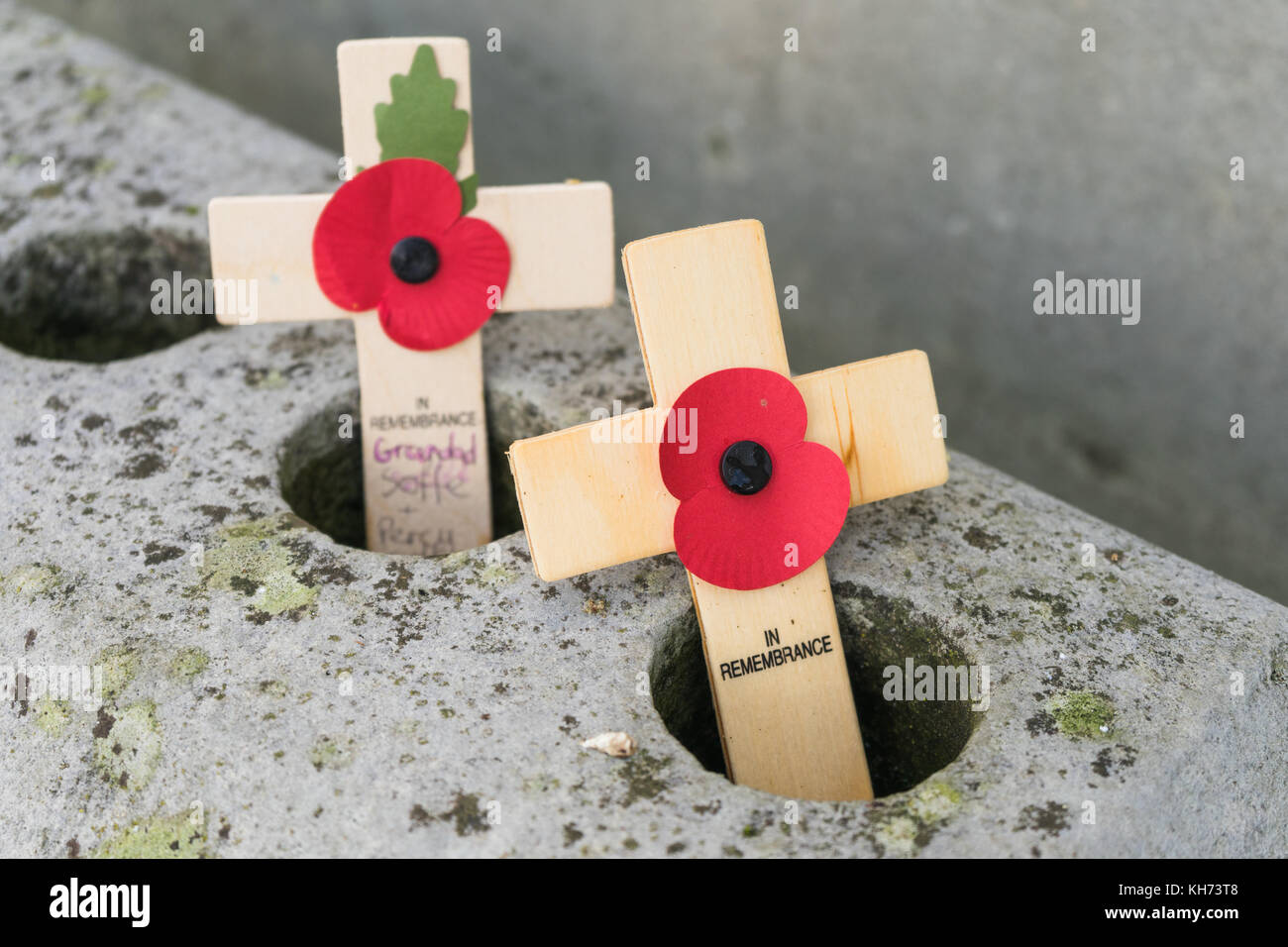 Two wooden crosses with red poppies at the Remembrance Day commemorations at the Cenotaph in Southampton, Hampshire, UK Stock Photo
