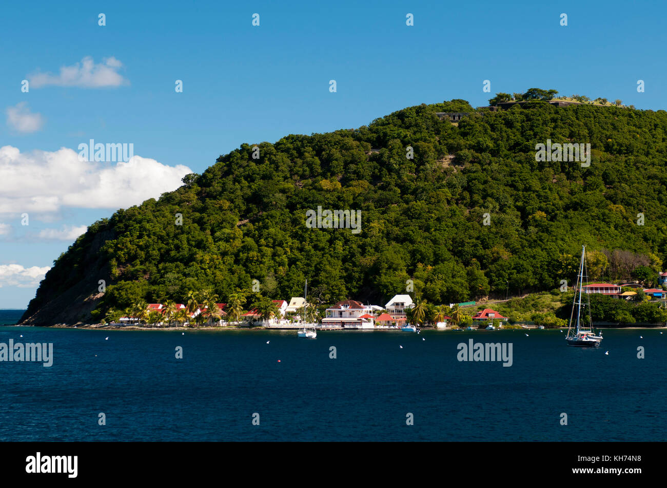 Guadeloupe nature hi-res stock photography and images - Page 12 - Alamy