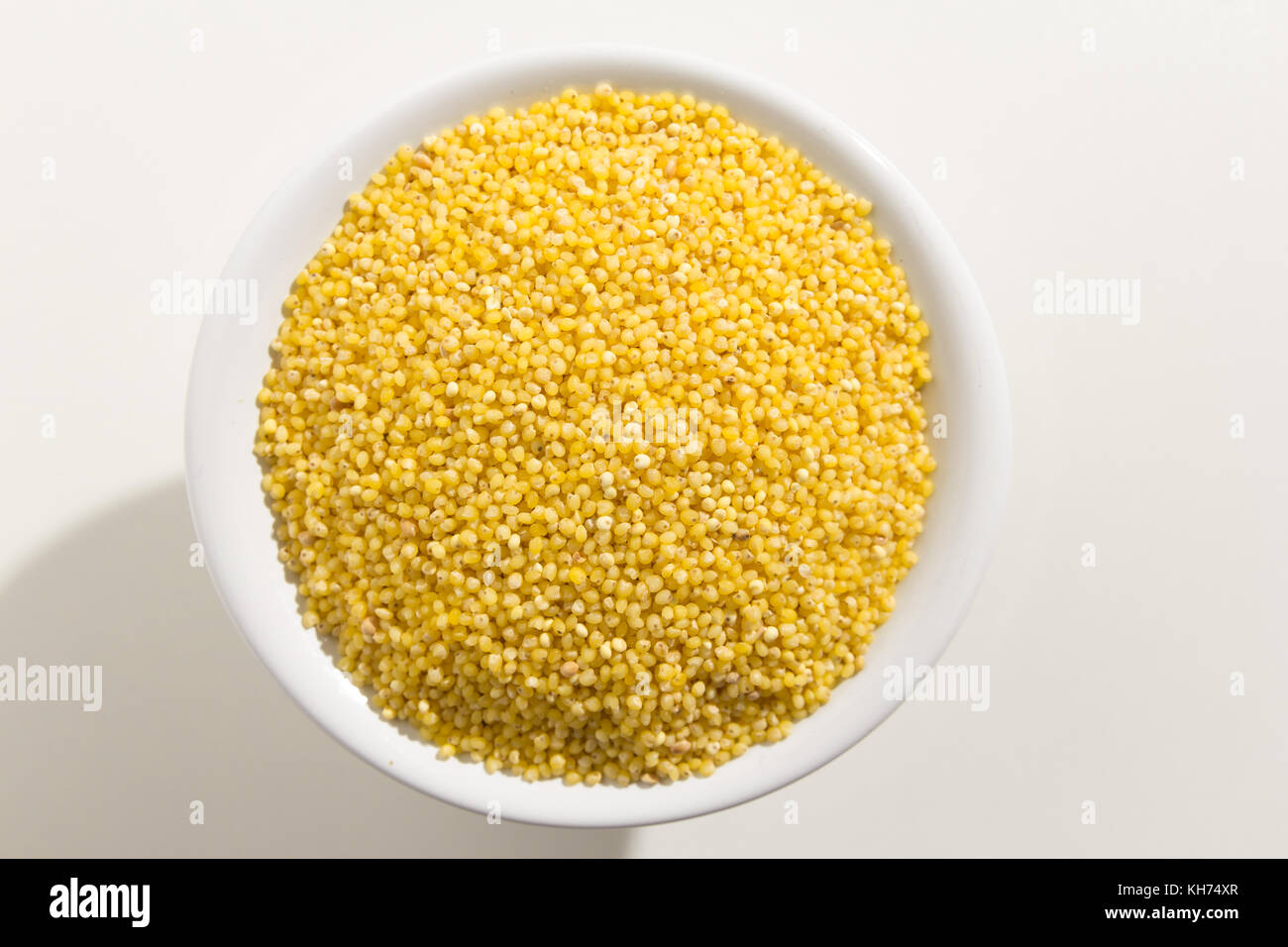 Panicum miliaceum is scientific name of Proso Millet cereal grain. Also