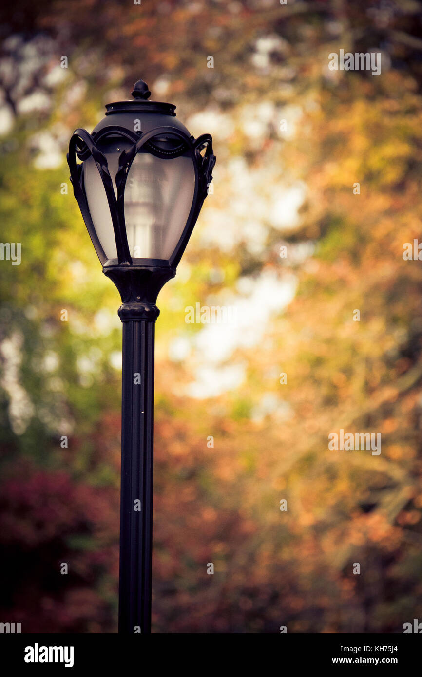 97 + Background Photo Light Wala For FREE My