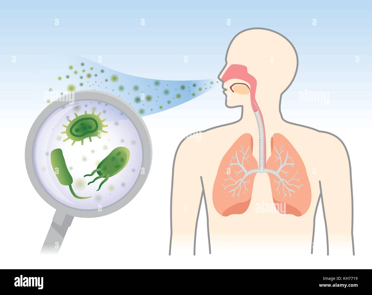 Looking Bacteria and Fungi into respiratory of human from breathe. Stock Vector