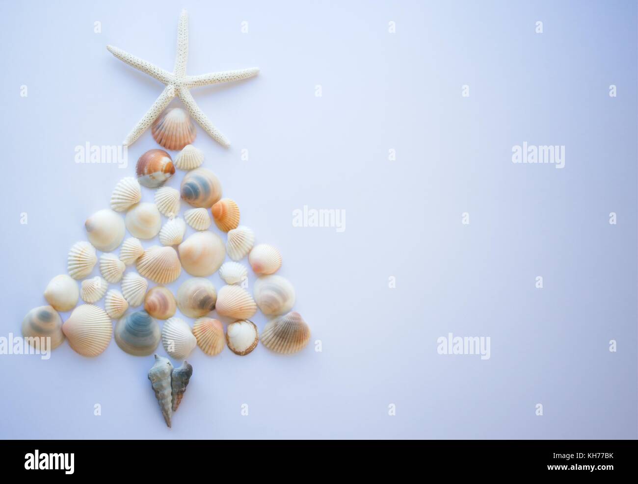 Star made of shells hi-res stock photography and images - Alamy